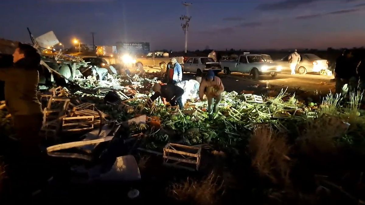 Muchos aprovecharon la caída de la carga de verduras del camión para llevárselas. Muchos aprovecharon la caída de la carga de verduras del camión para llevárselas.