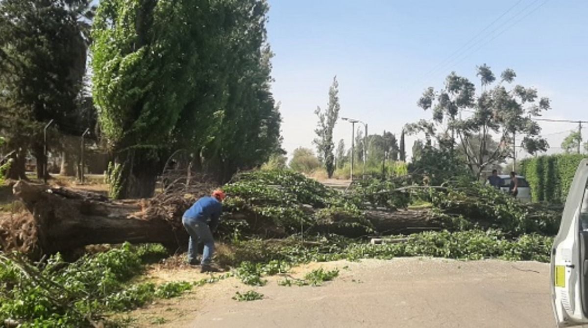 El Zonda se ensañó con San Rafael. Imagen: gentileza Día del Sur Noticias.