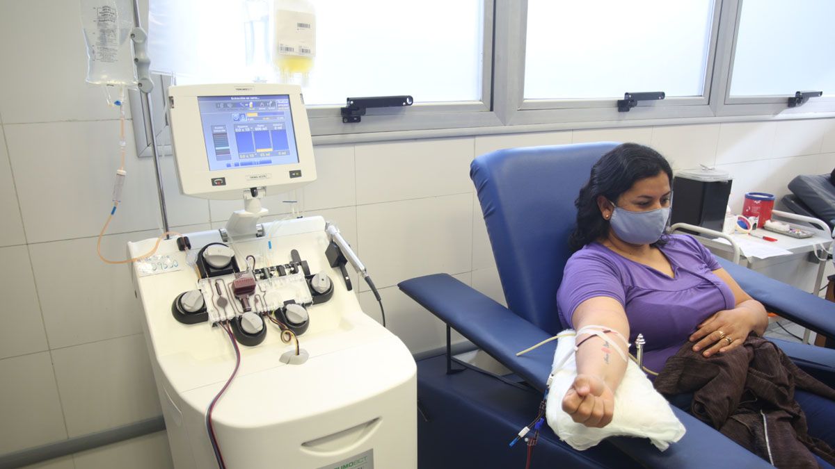 La Campaña Nacional de Donación de Plasma Sanguíneo se convirtió en ley en julio del año pasado y promueve la donación voluntaria de sangre para la obtención de plasma de pacientes recuperados de Covid-19 para el tratamiento de los pacientes que lo requieran.