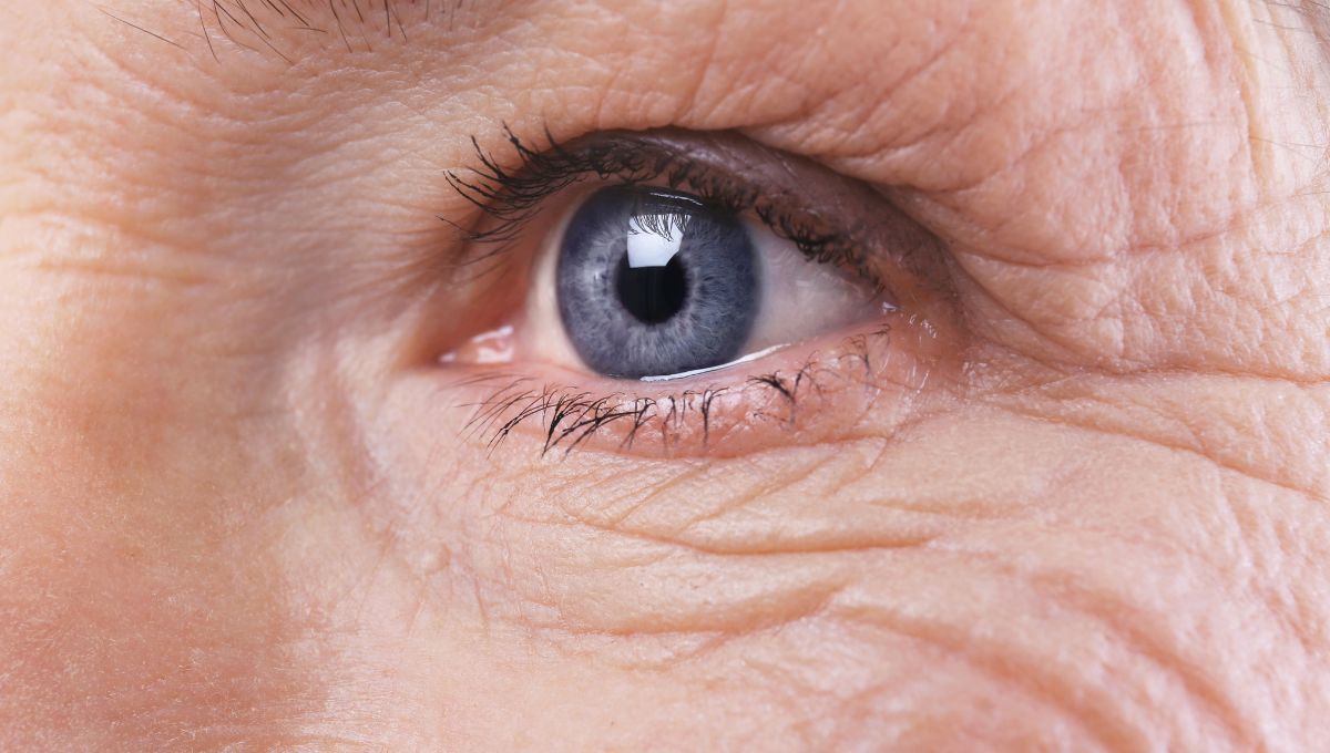 Elimina las arrugas de tu rostro con esta mascarilla natural. Elimina las arrugas de tu rostro con esta mascarilla natural.