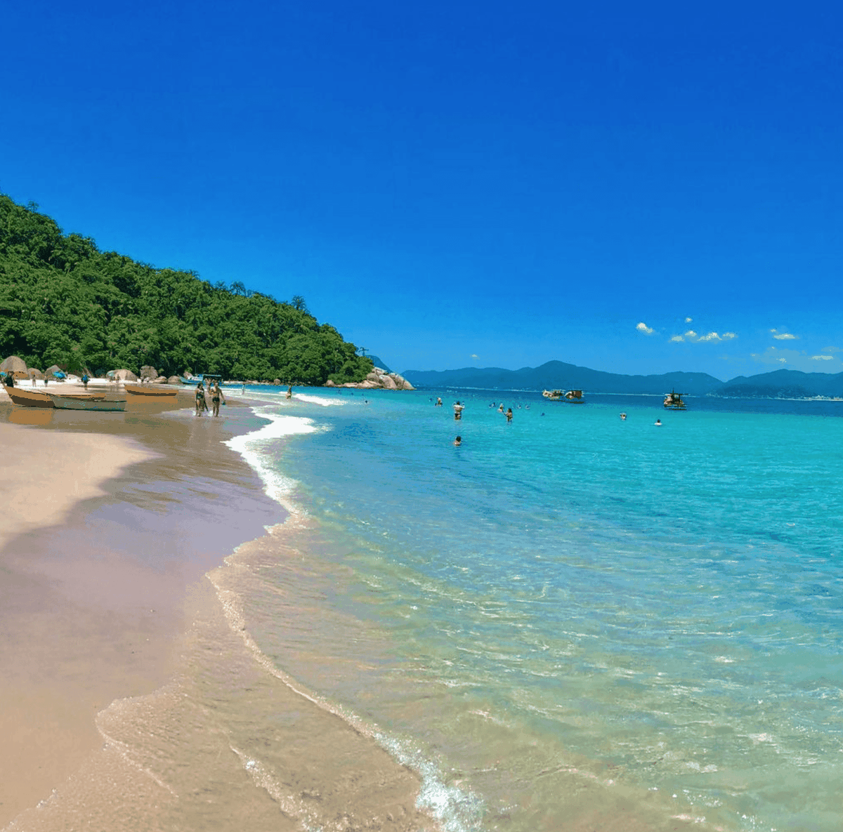 Ilha do Campeche te hace sentir en el Caribe. Imagen: Freepik. Ilha do Campeche te hace sentir en el Caribe. Imagen: Freepik.