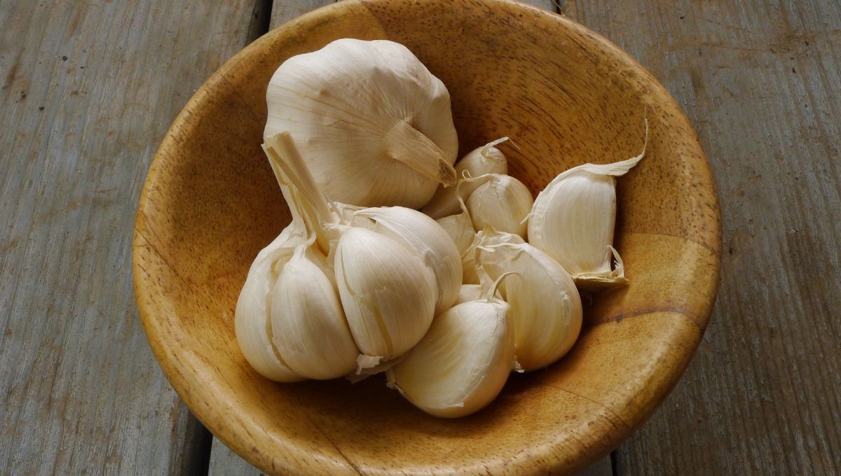 El ajo es muy utilizado en limpiezas energéticas. El ajo es muy utilizado en limpiezas energéticas.