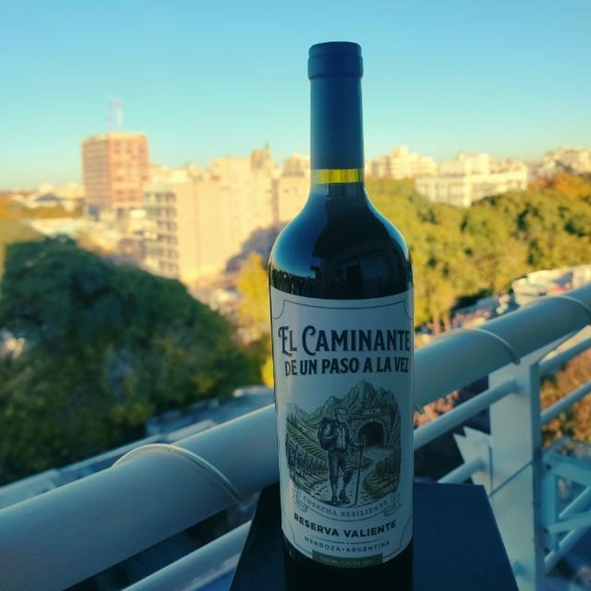 El vino de Miguel Ángel Ripa, fruto de la resiliencia. El vino de Miguel Ángel Ripa, fruto de la resiliencia.