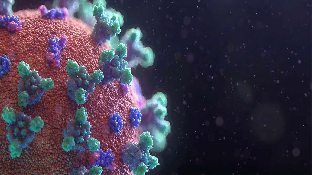 Un día como hoy pero hace dos años se confirmaba el primer caso positivo de covid 19 en el país.