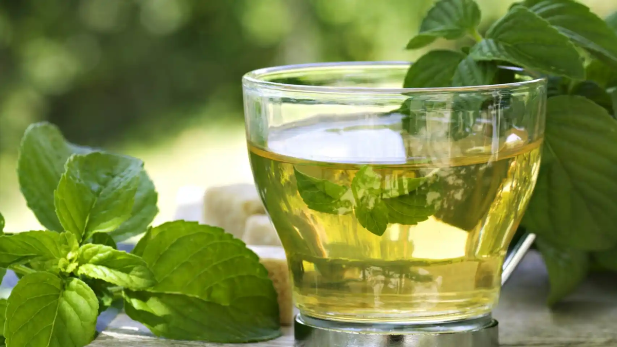 Cómo tomar té verde para adelgazar y acelerar tu metabolismo rápido, según  los expertos en nutrición