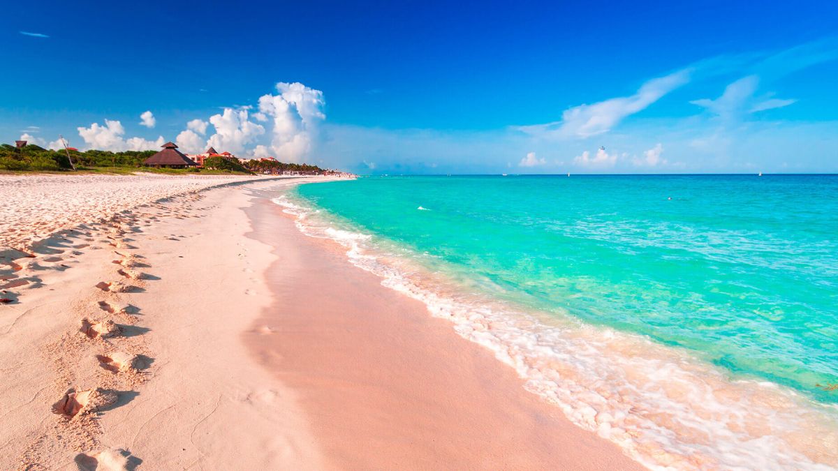 La playa de México con increíbles vistas y nado con tortugas