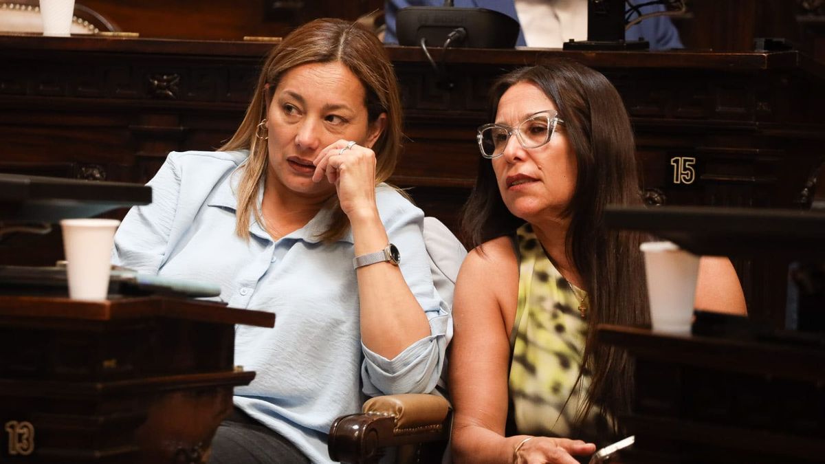 Adriana Cano y Mercedes Derrache, del PJ. 