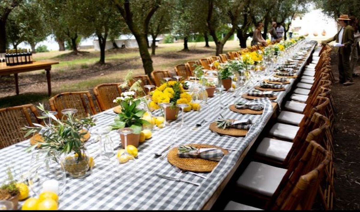 Todo listo para la presentación de Lote 8 y sus aceites de oliva.