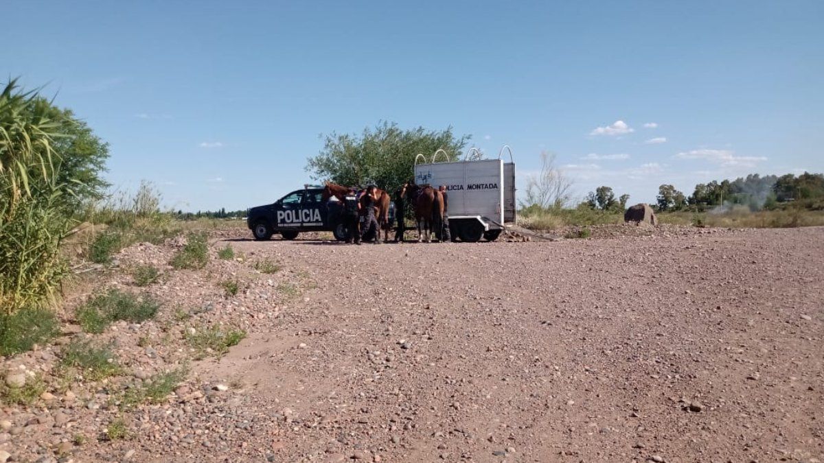 Colgado de un olivo hallaron el cuerpo del hombre buscado por la desaparición del carpintero