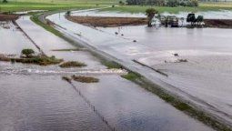 Las lluvias afectaron más de tres millones de hectáreas con pérdidas de $800 millones