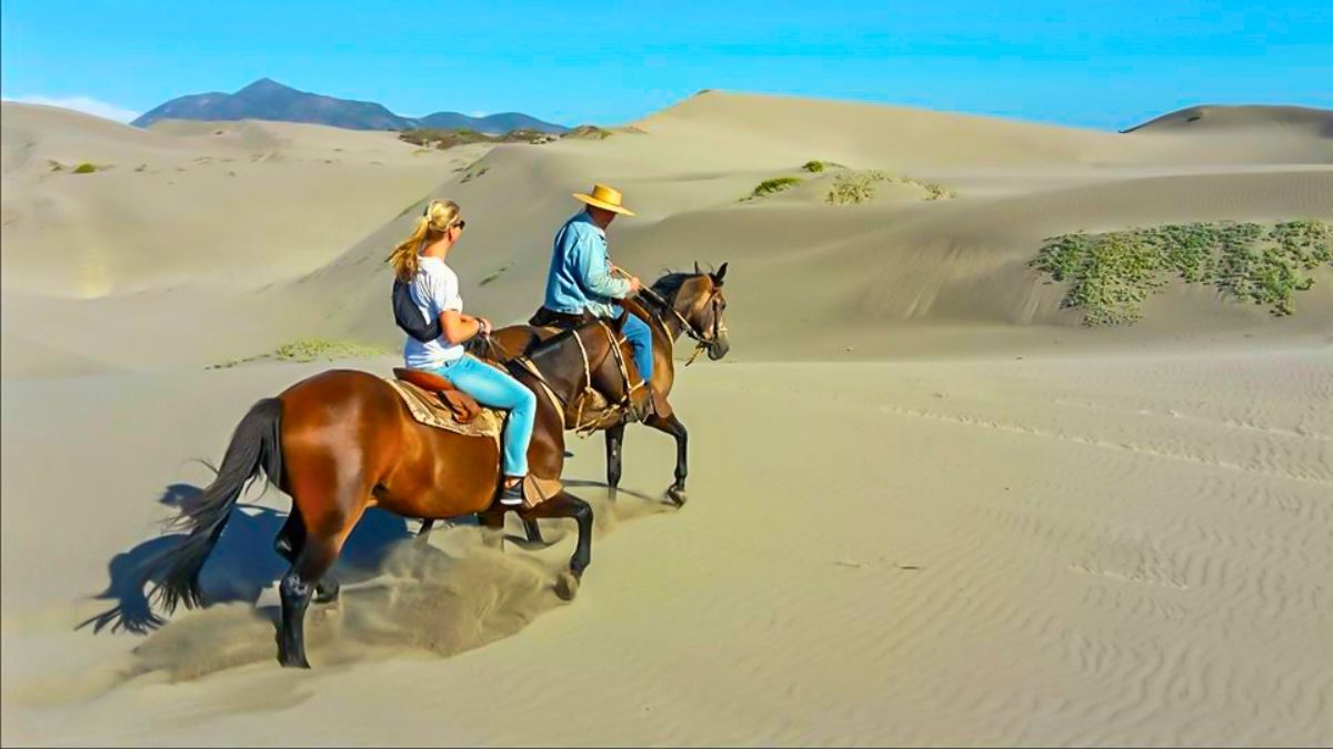 Las cabalgatas por las dunas son una buena opción dentro de este pueblo. Las cabalgatas por las dunas son una buena opción dentro de este pueblo.
