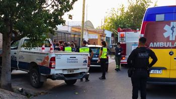 Un conductor se descompensó al volante, chocó contra un canasto de basura y murió Un conductor se descompensó al volante, chocó contra un canasto de basura y murió