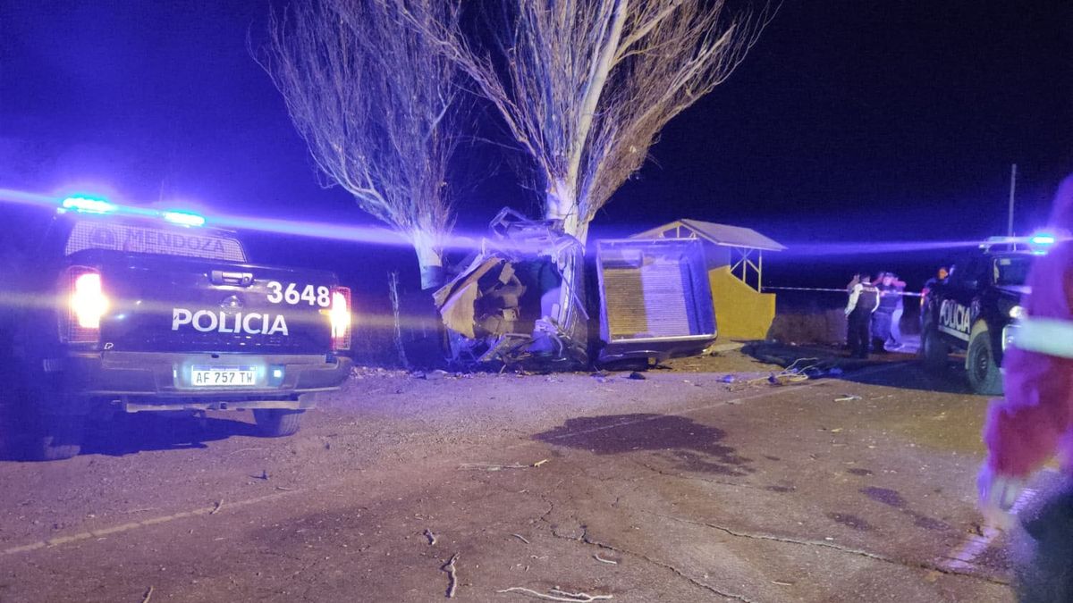 El trágico accidente ocurrió pasadas las 22.30 del jueves en Lavalle.