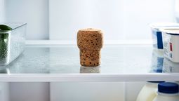 Con un simple corcho, puedes solucionar distintos problemas en tu heladera. Con un simple corcho, puedes solucionar distintos problemas en tu heladera.