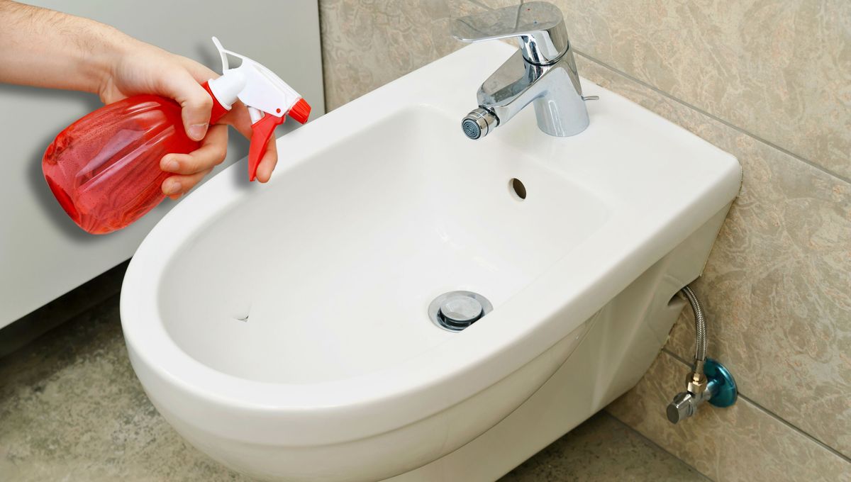 Por qué hay que rociar el bidé con vinagre: ¿qué significa?