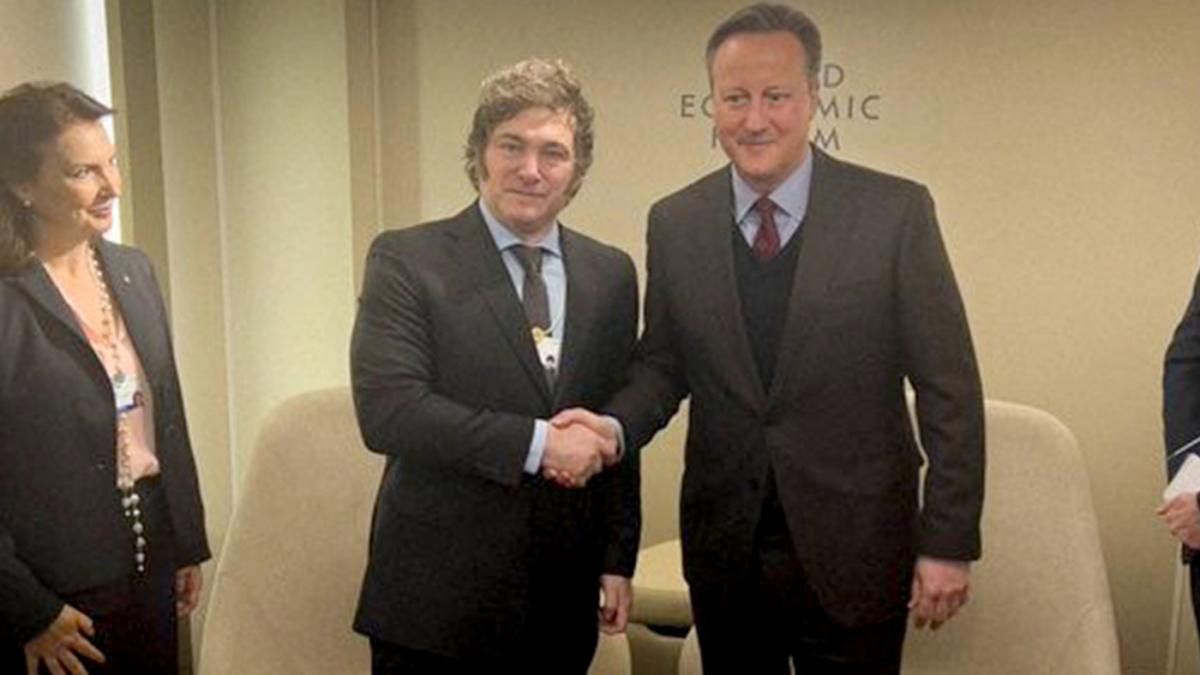 Javier Milei y David Cameron coincidieron en Davos. Javier Milei y David Cameron coincidieron en Davos.