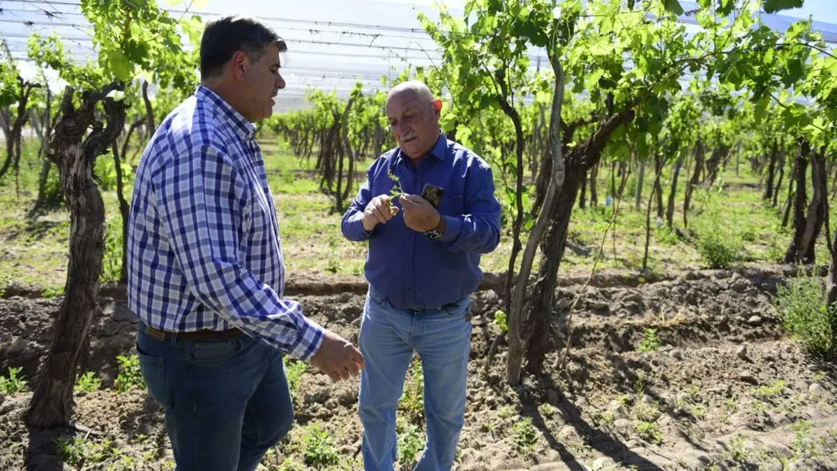 La labor de los intendentes será clave en el proceso de pago del Recuperagro. En la imagen, el vicegobernador Mario Abed junto a Miguel Ronco, jefe de la comuna de Rivadavia.