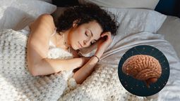 Olvidar los sueños al despertar: la neurociencia revela un posible vínculo con el alzheimer. Fuente Canva
