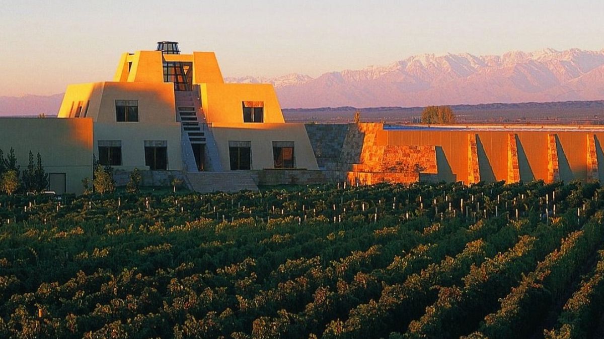 Catena está catalogada como una de las mejores bodegas del mundo. Catena está catalogada como una de las mejores bodegas del mundo. 