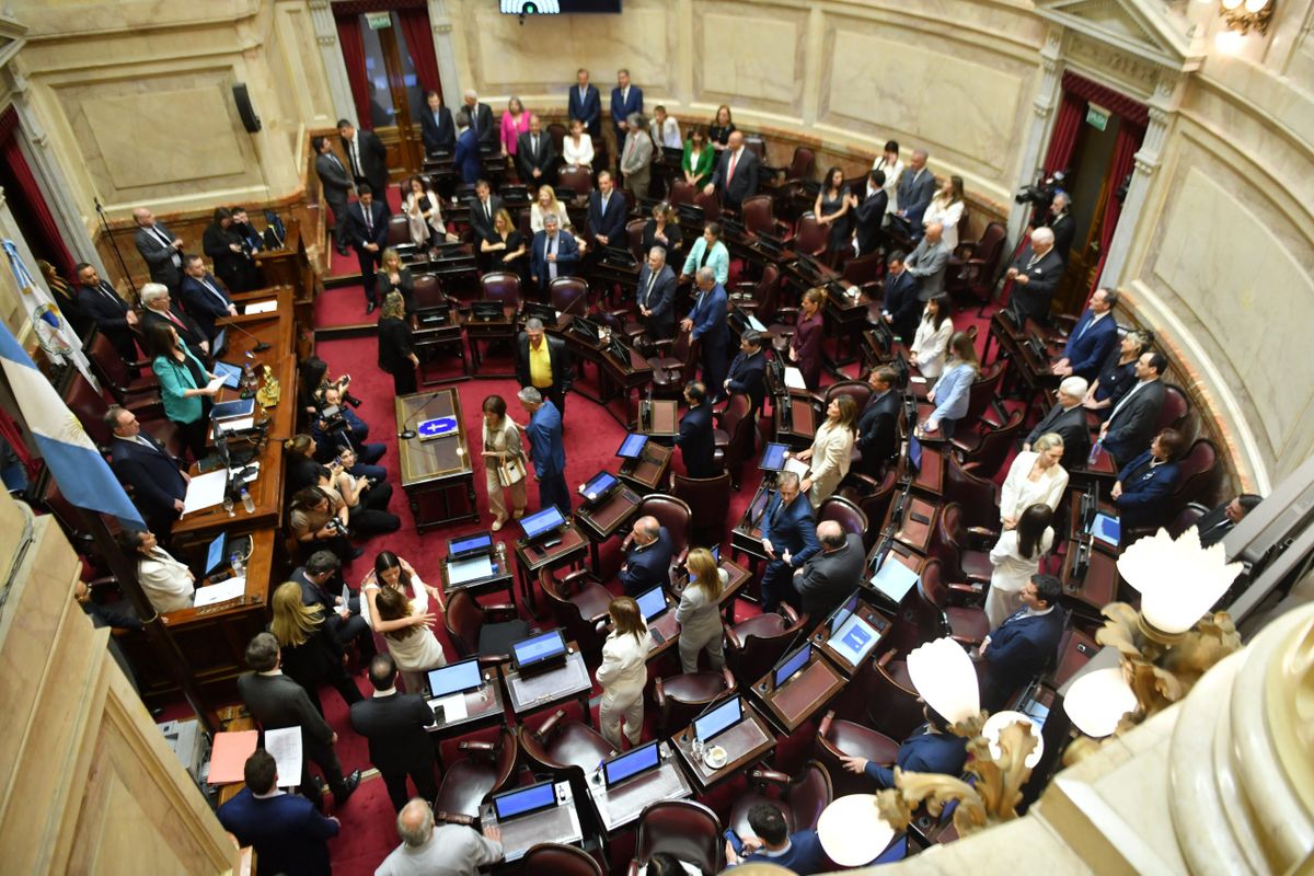 Este viernes se realiz&oacute; el acto de jura de los nuevos senadores nacionales.&nbsp;