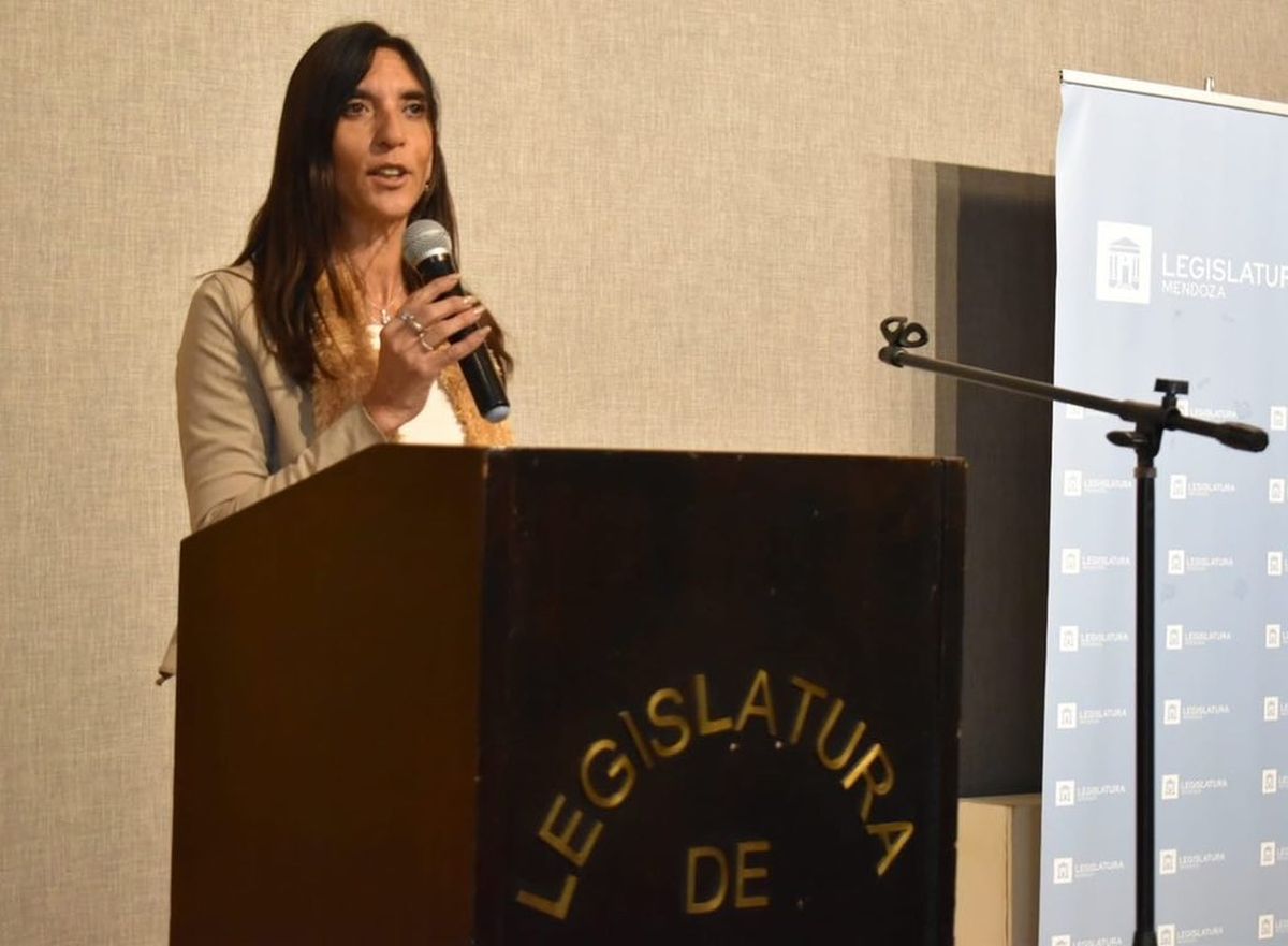 Natacha Einsechlas, presidenta provisional del Senado,