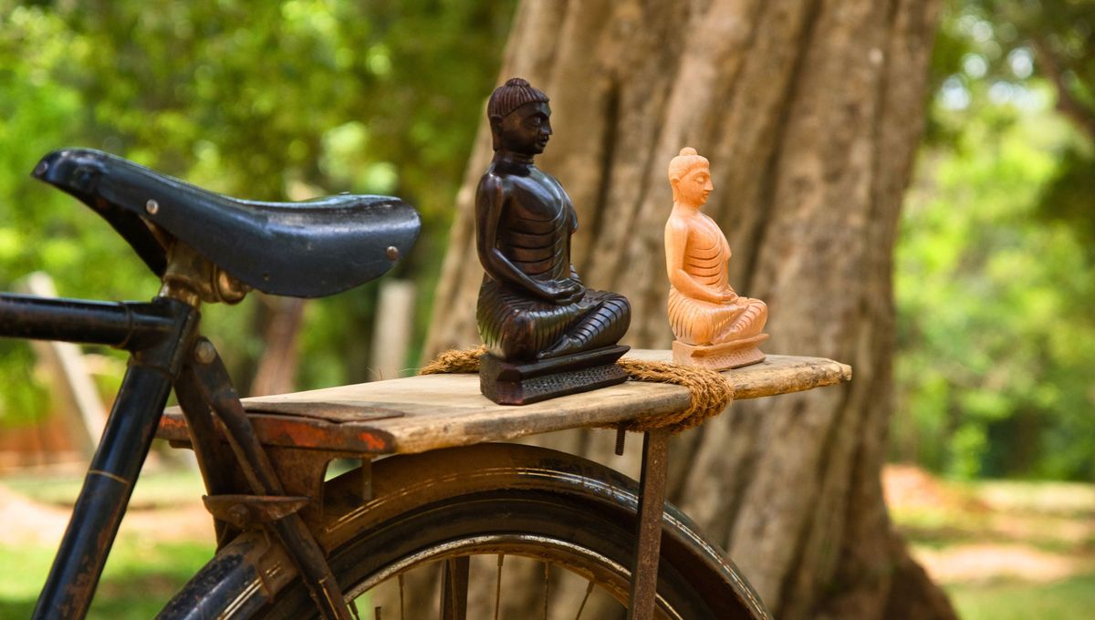 Filosofía: el proverbio que compara el equilibrio de la vida con una bicicleta y deja una lección perdurable
