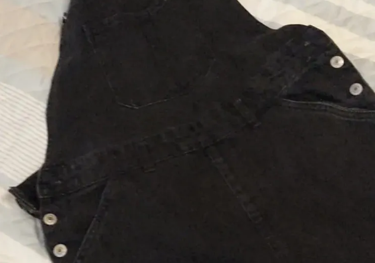 Final feliz. Pensó que su gata había muerto pero se llevó una gran sorpresa.