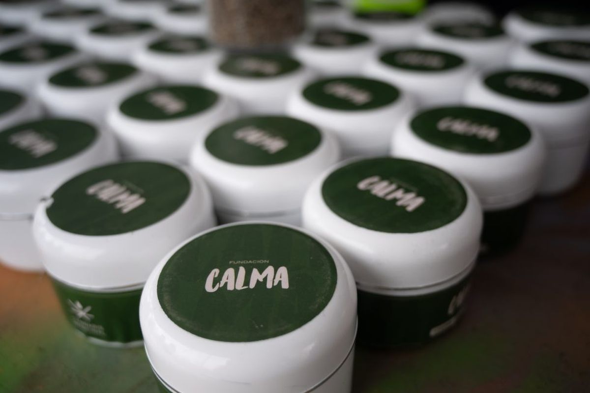 Según el Gobierno provincial, el sistema contempla registros digitales para productores, profesionales y asociaciones vinculadas al cultivo de cannabis medicinal. Según el Gobierno provincial, el sistema contempla registros digitales para productores, profesionales y asociaciones vinculadas al cultivo de cannabis medicinal.