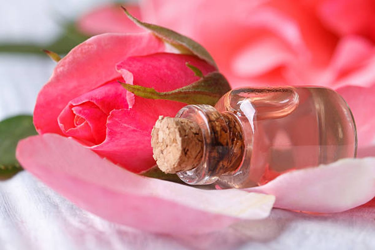 Aceite de rosa mosqueta, el mejor ingrediente para reemplazar a la crema Nivea. Aceite de rosa mosqueta, el mejor ingrediente para reemplazar a la crema Nivea.