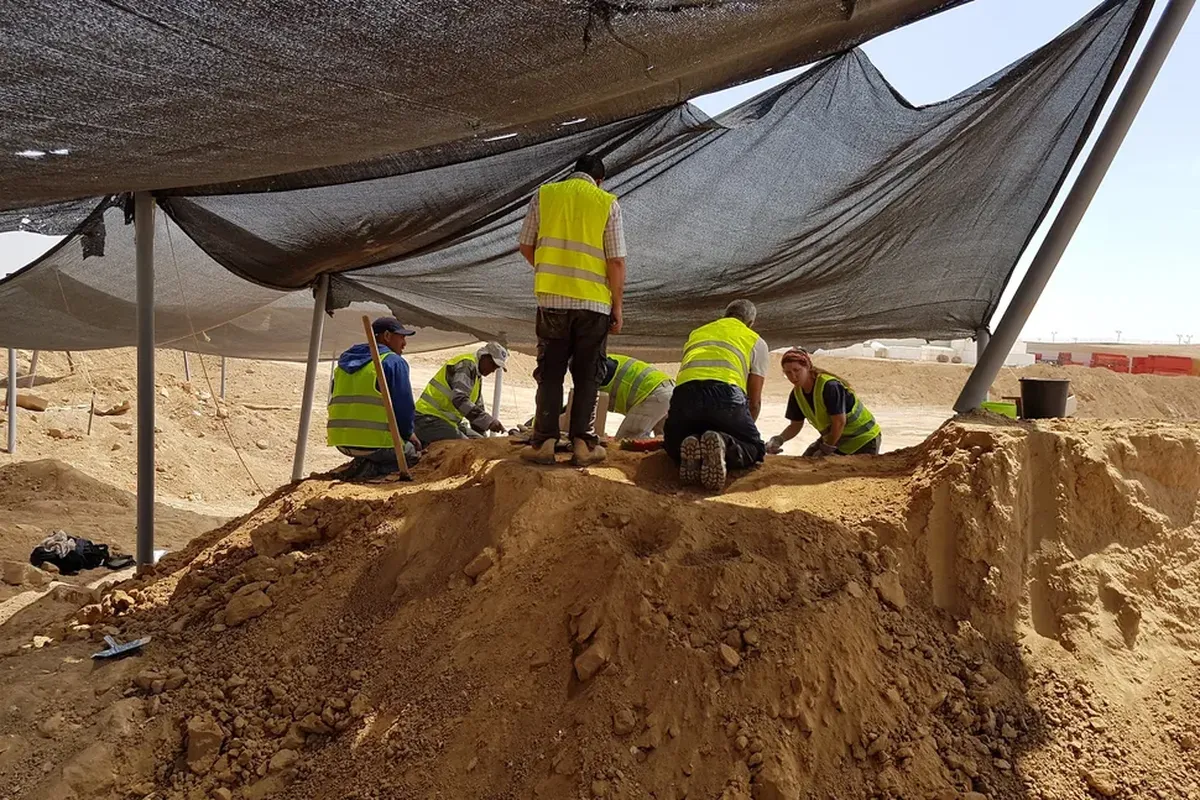 La excavación llevó a un descubrimiento inesperado. La excavación llevó a un descubrimiento inesperado.