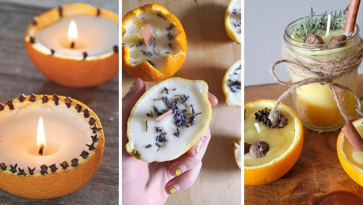 Cáscaras de naranja. Cáscaras de naranja. 