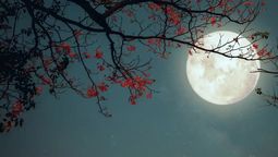 Este fenómeno astronómico no solo destaca por su belleza estética. Este fenómeno astronómico no solo destaca por su belleza estética.