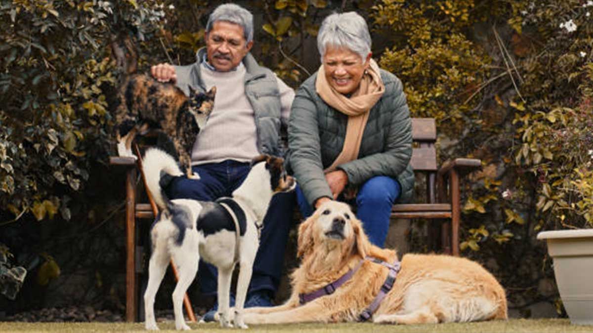 La razón por la que se debe adoptar una mascota después de los 50 años, según estudio La razón por la que se debe adoptar una mascota después de los 50 años, según estudio