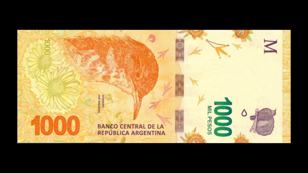 Pagan Millones De Pesos Al Suertudo Propietario De Este Billete De Pesos