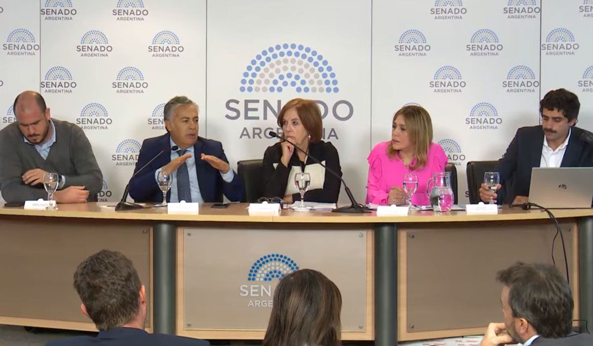 En la mesa, de izquierda a derecha, Mariano Plencovich, los autores del proyecto Alfredo Cornejo, Alejandra Vigo, Beatríz Ávila y el secretario Natalio Mema.