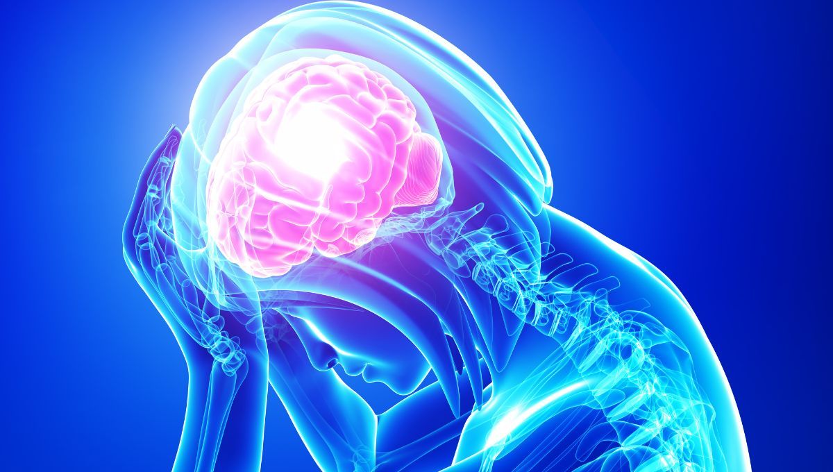 Mejora tu salud cerebral y previene enfermedades neurodegenerativas gracias a esta fruta antioxidante