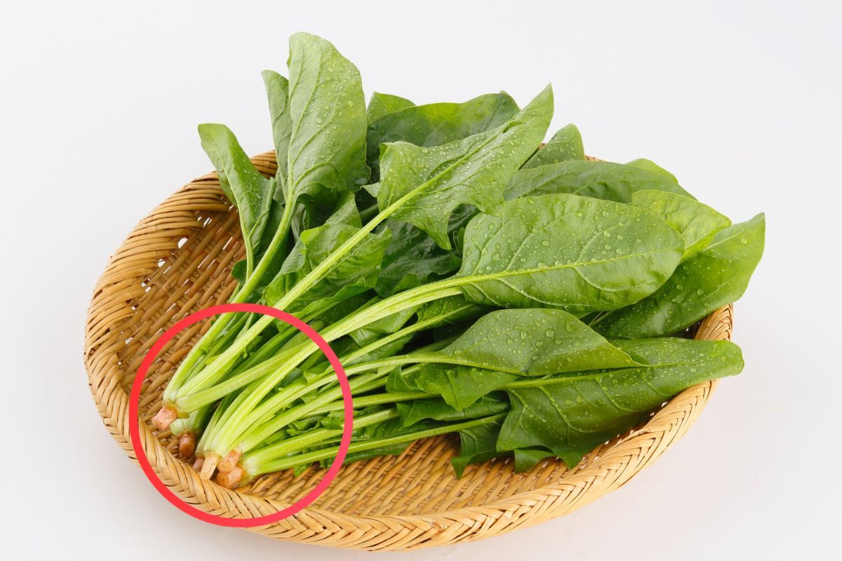 No tires el tallo de la espinaca y transfórmala en un tesoro: cómo y paras qué sirve