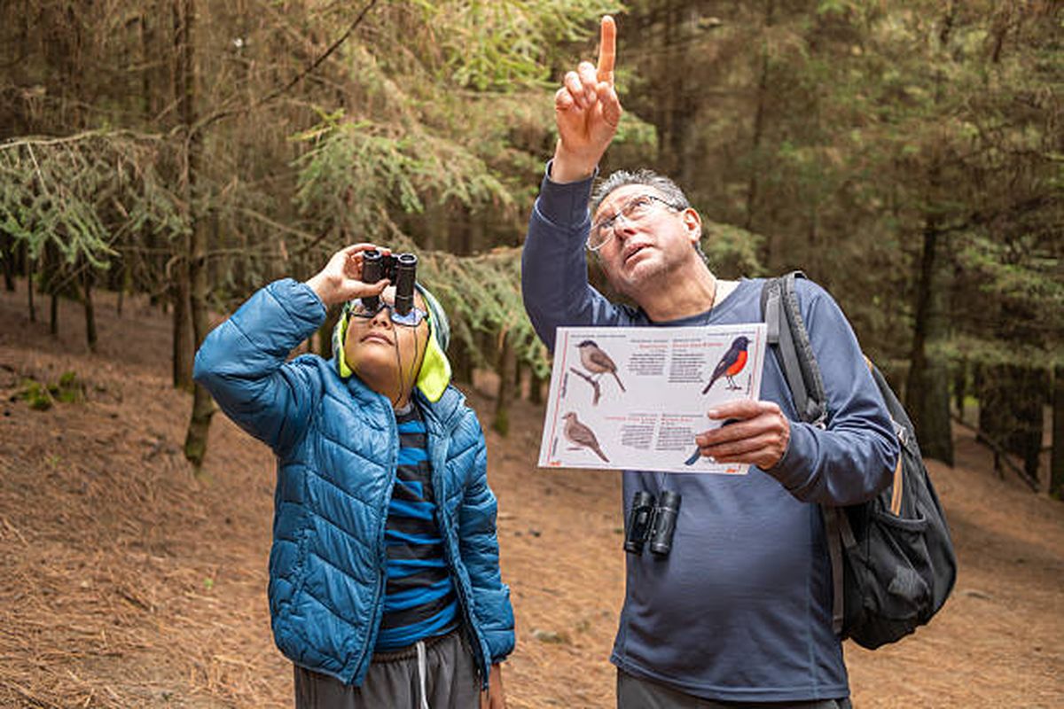 Este hobby tiene un beneficio importante para el cerebro y la memoria.