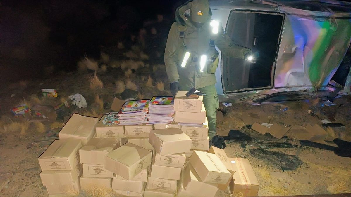 Manejaba sin luces desde Chile, volcó por estar ebrio y terminó preso por contrabandista