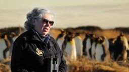 la maestra que protegio a 8 pingüinos y logro que la colonia volviera a crecer hasta casi 200