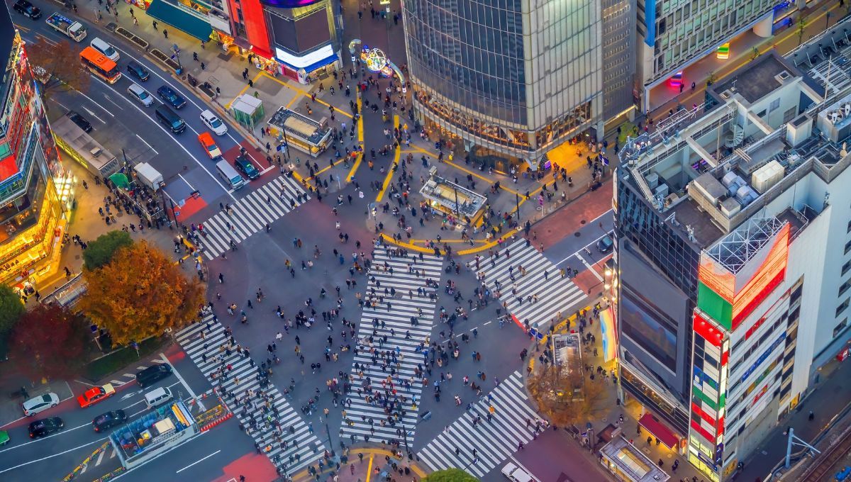 Si bien la mayoría conoce las islas principales de Honshu, Hokkaido, Kyushu y Shikoku, Japón en realidad está compuesto por más de 6.800 islas. Si bien la mayoría conoce las islas principales de Honshu, Hokkaido, Kyushu y Shikoku, Japón en realidad está compuesto por más de 6.800 islas.