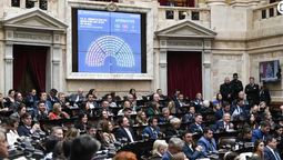Por 132 a 105 votos fue aprobado en Diputados el recorte del subsidio a la Zona Fría.