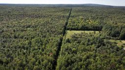 La frontera más larga del planeta Tierra no tiene muros ni ejército y es de una potencia La frontera más larga del planeta Tierra no tiene muros ni ejército y es de una potencia