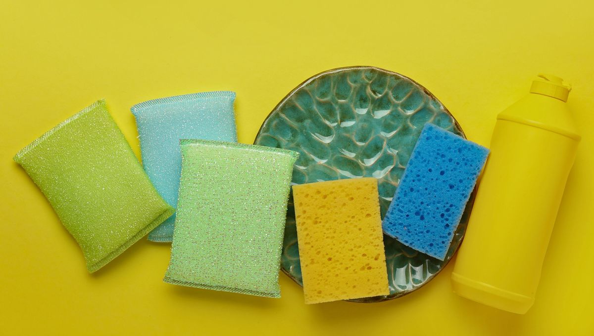 Además, algunos estudios sugieren que las esponjas liberan microplásticos que luego consumimos, un dato no menor y poco conocido. Además, algunos estudios sugieren que las esponjas liberan microplásticos que luego consumimos, un dato no menor y poco conocido.