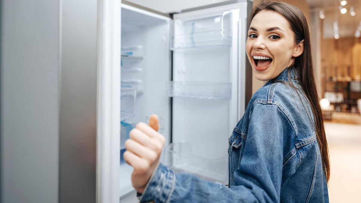 Plan Canje de heladeras.