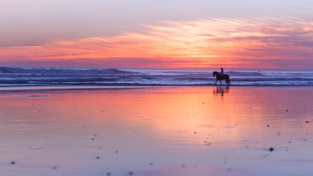 El Palmar es popular entre los surfistas y los amantes del sol. El Palmar es popular entre los surfistas y los amantes del sol.