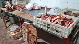 Salud pública. La justicia allanó una carnicería sospechada de vender carne de gato. Salud pública. La justicia allanó una carnicería sospechada de vender carne de gato.
