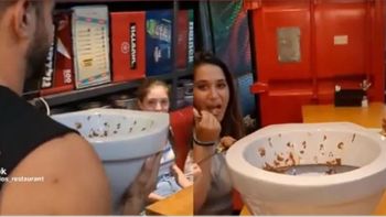 Un asco total: sirven helado de chocolate en un inodoro