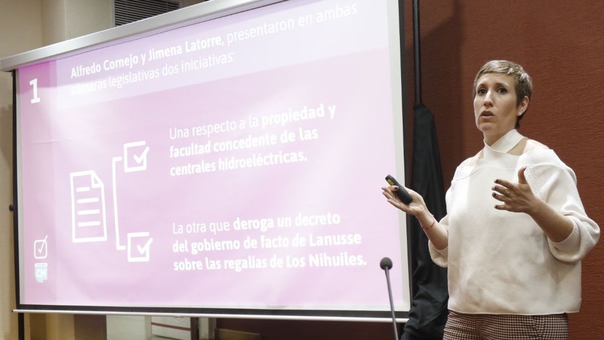 La ministra de Energía, Jimena Latorre, advirtió que el Gobierno cambió el criterio para otorgar subsidios en la tarifa del gas. Con la ley de zona fría el criterio era territorial, y ahora se pretende subsidiar a la demanda, puntualmente a los consumidores vulnerables que no pueden pagar el servicio. La ministra de Energía, Jimena Latorre, advirtió que el Gobierno cambió el criterio para otorgar subsidios en la tarifa del gas. Con la ley de zona fría el criterio era territorial, y ahora se pretende subsidiar a la demanda, puntualmente a los consumidores vulnerables que no pueden pagar el servicio.