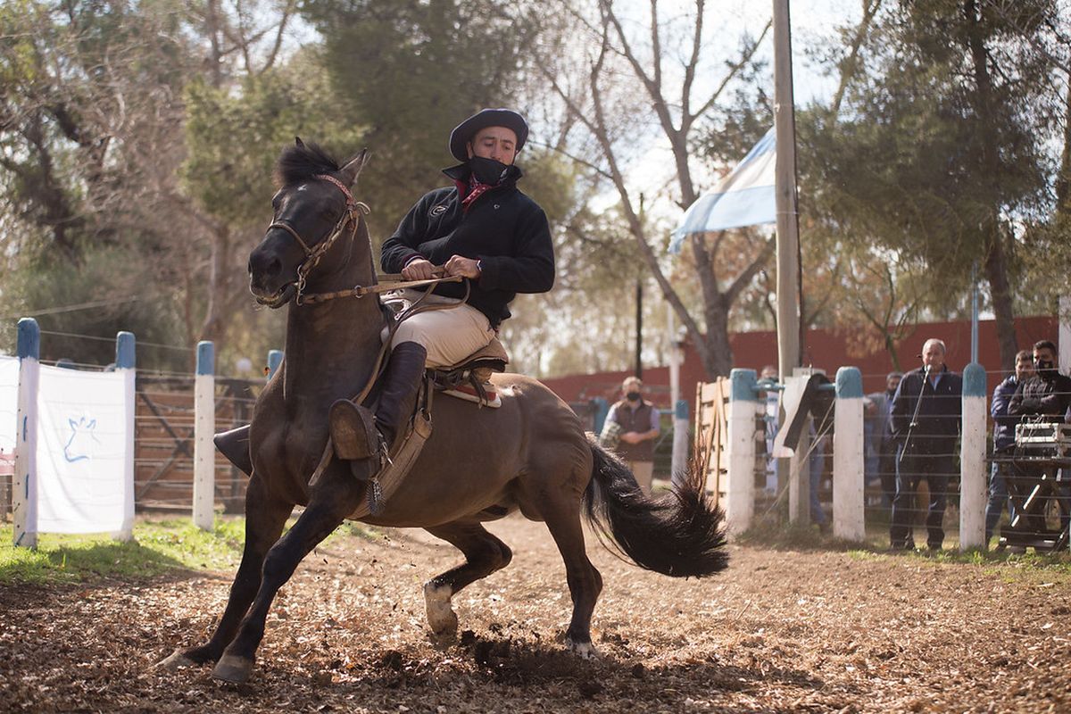 Desde la Federación Gaucha de Mendoza aseguraron que las jineteadas no sólo son una actividad cultural tradicional en la provincia, sino que además son generadoras de empleo. Desde la Federación Gaucha de Mendoza aseguraron que las jineteadas no sólo son una actividad cultural tradicional en la provincia, sino que además son generadoras de empleo.